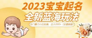 抖音美女图文+音乐推广5.0版本,单日单号500+,0本0粉可矩阵,五分钟一个视频【揭秘】-淘金日记