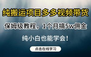 纯搬运项目多多视频带货保姆级教程,1个月搞5w佣金,纯小白也能学会【揭秘】-淘金日记