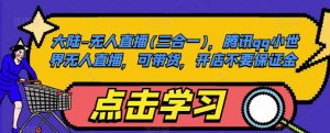 大陆-无人直播(三合一)，腾讯qq小世界无人直播，可带货，开店不要保证金-淘金日记