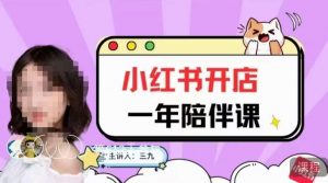 三九小红书开店一年陪伴课,从0到1玩赚小红书开店-淘金日记