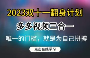 2023双十一翻身计划,多多视频带货三合一玩法教程【揭秘】-淘金日记