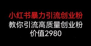小红书暴力引流创业粉,教你引流高质量创业粉,价值2980【揭秘】-淘金日记