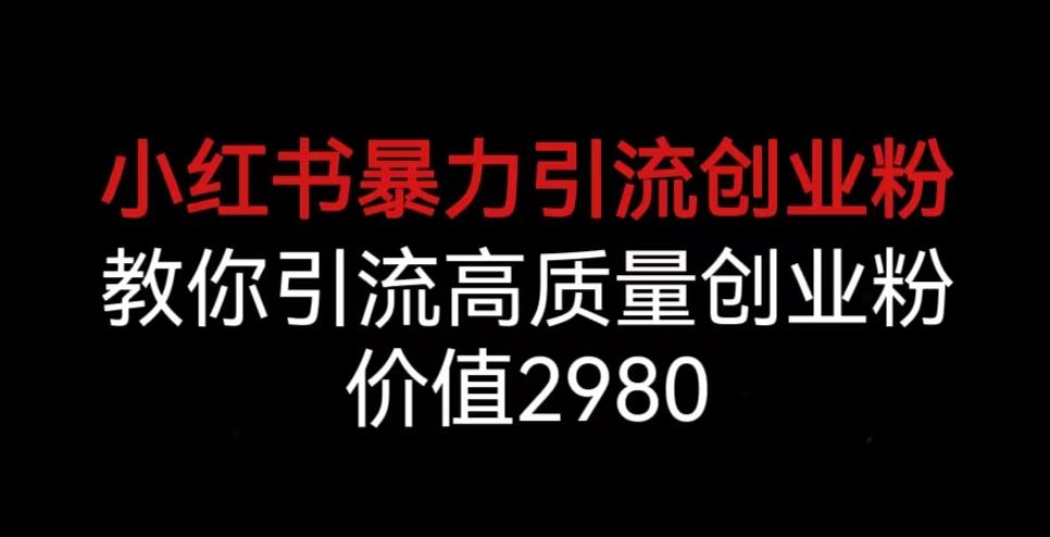 小红书暴力引流创业粉，教你引流高质量创业粉，价值2980【揭秘】-淘金日记