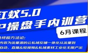 红蚁5.0IP操盘手内训营,IP操盘终极方法论-淘金日记