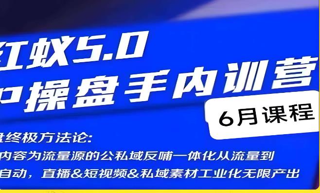红蚁5.0IP操盘手内训营,IP操盘终极方法论-淘金日记