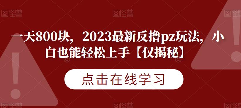 一天800块,2023最新反撸pz玩法,小白也能轻松上手【仅揭秘】-淘金日记