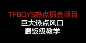 TFBOYS热点掘金项目，巨大热点风口，喂饭级教学-淘金日记