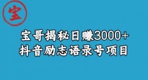宝哥揭秘日赚3000+抖音励志语录号短视频变现项目-淘金日记