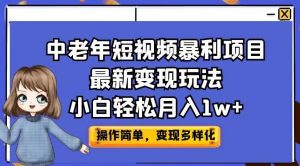 中老年短视频暴利项目最新变现玩法，小白轻松月入1w+【揭秘】-淘金日记