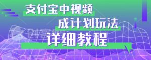 避坑玩法：支付宝中视频分成计划玩法实操详解【揭秘】-淘金日记