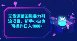 2023无货源莆田鞋暴力引流项目,新手小白也可实操日入1000+【揭秘】-淘金日记