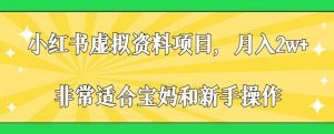 小红书虚拟资料项目,月入2w+,非常适合宝妈和新手操作【揭秘】-淘金日记