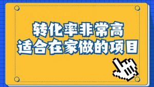 小红书虚拟电商项目:从小白到精英(视频课程+交付手册)-淘金日记