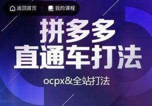 互力·拼多多直通车打法,ocpx&全站打法-淘金日记