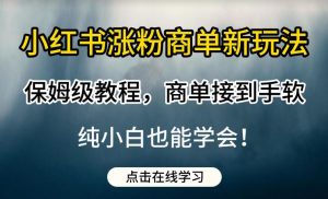 小红书涨粉商单新玩法,保姆级教程,商单接到手软,纯小白也能学会【揭秘】-淘金日记