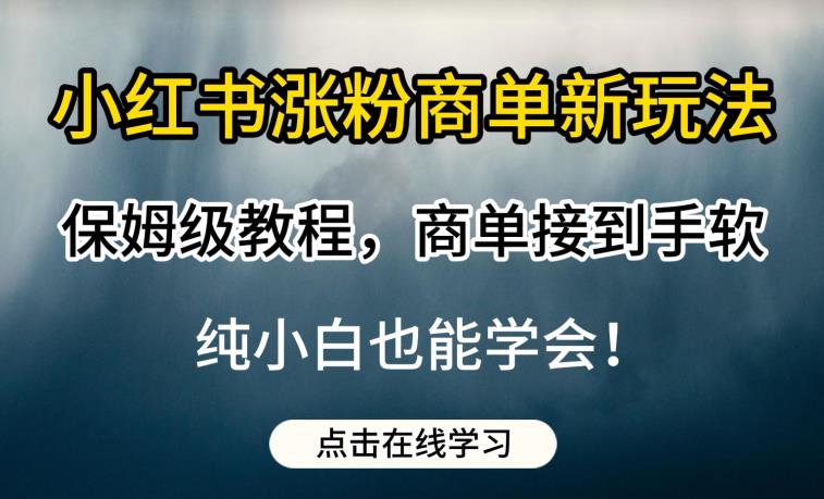 小红书涨粉商单新玩法,保姆级教程,商单接到手软,纯小白也能学会【揭秘】-淘金日记