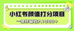 最新蓝海项目,小红书颜值打分项目,一条作品收入1000+【揭秘】-淘金日记