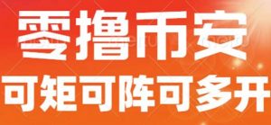 最新国外零撸小项目，目前单窗口一天可撸10+【详细玩法教程】【揭秘】-淘金日记