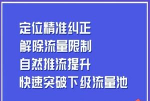 同城账号付费投放运营优化提升，​定位精准纠正，解除流量限制，自然推流提升，极速突破下级流量池-淘金日记