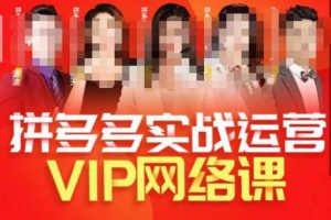推易拼多多VIP全套直播课程，拼多多店铺实操玩法+实战玩法选款内功+直通车高阶等-淘金日记