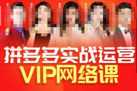 推易拼多多VIP全套直播课程，拼多多店铺实操玩法+实战玩法选款内功+直通车高阶等-淘金日记