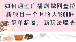 如何通过广播剧做网盘拉新项目一个月收入18000+，简单粗暴，新玩法曝光【揭秘】-淘金日记