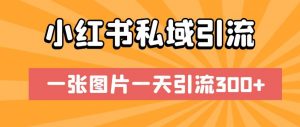 小红书私域引流,一张图片一天引流300+【揭秘】-淘金日记