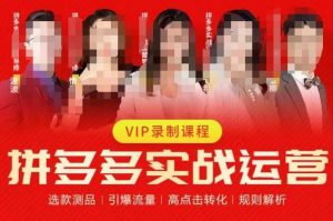 2023推易拼多多实战运营,选款测品、引爆流量、高点击转化、规则解析-淘金日记