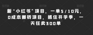 新“小红书”项目,一单5/10元,0成本搬砖项目,抓住开学季,一天狂卖300单【揭秘】-淘金日记