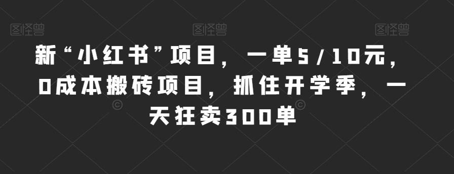 新“小红书”项目,一单5/10元,0成本搬砖项目,抓住开学季,一天狂卖300单【揭秘】-淘金日记