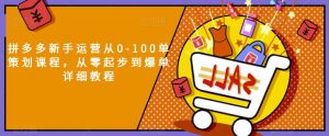 拼多多新手运营从0-100单策划课程,从零起步到爆单详细教程-淘金日记