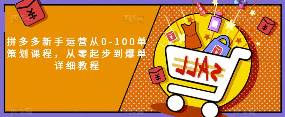 拼多多新手运营从0-100单策划课程,从零起步到爆单详细教程-淘金日记