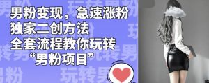 男粉变现，急速涨粉独家二创方法，全套流程教你玩转“男粉项目”【揭秘】-淘金日记