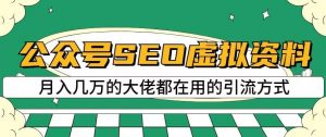 公众号SEO虚拟资料,操作简单,日入500+,可批量操作【揭秘】-淘金日记