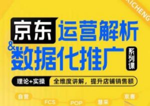 京东运营解析与数据化推广系列课，全维度讲解京东运营逻辑+数据化推广提升店铺销售额-淘金日记