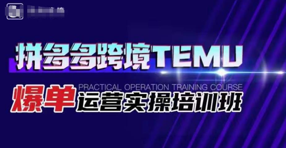 拼多多跨境TEMU爆单运营实操培训班，海外拼多多的选品、运营、爆单-淘金日记