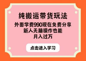 纯搬运带货玩法，外面学费990现在免费分享，新人无脑操作也能月入过万【揭秘】-淘金日记