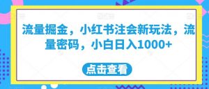 流量掘金，小红书注会新玩法，流量密码，小白日入1000+【揭秘】-淘金日记
