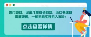 冷门项目，记录儿童成长档案，小红书虚拟资源变现，一部手机实现日入300+【揭秘】-淘金日记