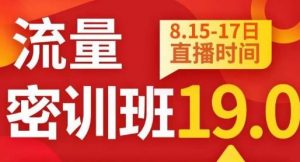 秋秋线上流量密训班19.0，打通流量关卡，线上也能实战流量破局-淘金日记