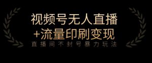 全网首发视频号不封号无人直播暴利玩法+流量印刷机变现，日入1000+【揭秘】-淘金日记