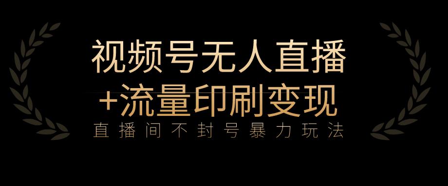 全网首发视频号不封号无人直播暴利玩法+流量印刷机变现,日入1000+【揭秘】-淘金日记