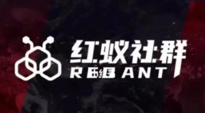 社群运营：红蚁社群【48节落地系统课程+2000人高端社群】-淘金日记