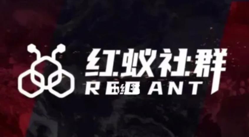 社群运营：红蚁社群【48节落地系统课程+2000人高端社群】-淘金日记