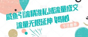 咸鱼引流精准私域流量成交流量无限延伸【揭秘】-淘金日记