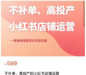 不补单、高投产的小红书店铺运营,一张身份证就可以开店注册-淘金日记