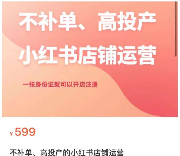 不补单、高投产的小红书店铺运营,一张身份证就可以开店注册-淘金日记