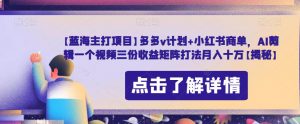 【蓝海主打项目】多多v计划+小红书商单,AI剪辑一个视频三份收益矩阵打法月入十万【揭秘】-淘金日记