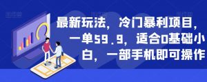 最新玩法，冷门暴利项目，一单59.9，适合0基础小白，一部手机即可操作【揭秘】-淘金日记