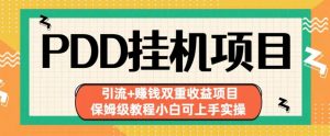 拼多多挂机项目引流+赚钱双重收益项目(保姆级教程小白可上手实操)【揭秘】-淘金日记